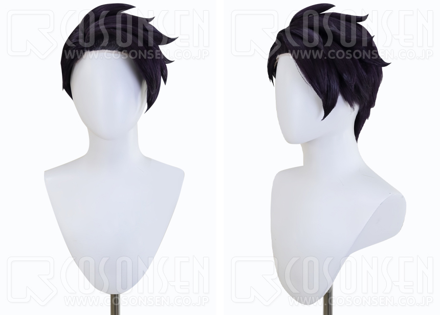 ポケモンZA カラスバ コスプレウィッグ