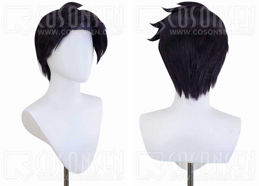 ポケモンZA カラスバ コスプレウィッグ