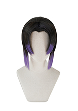 鬼滅の刃 鬼殺隊 蟲柱 胡蝶しのぶ コスプレウィッグ ニュー